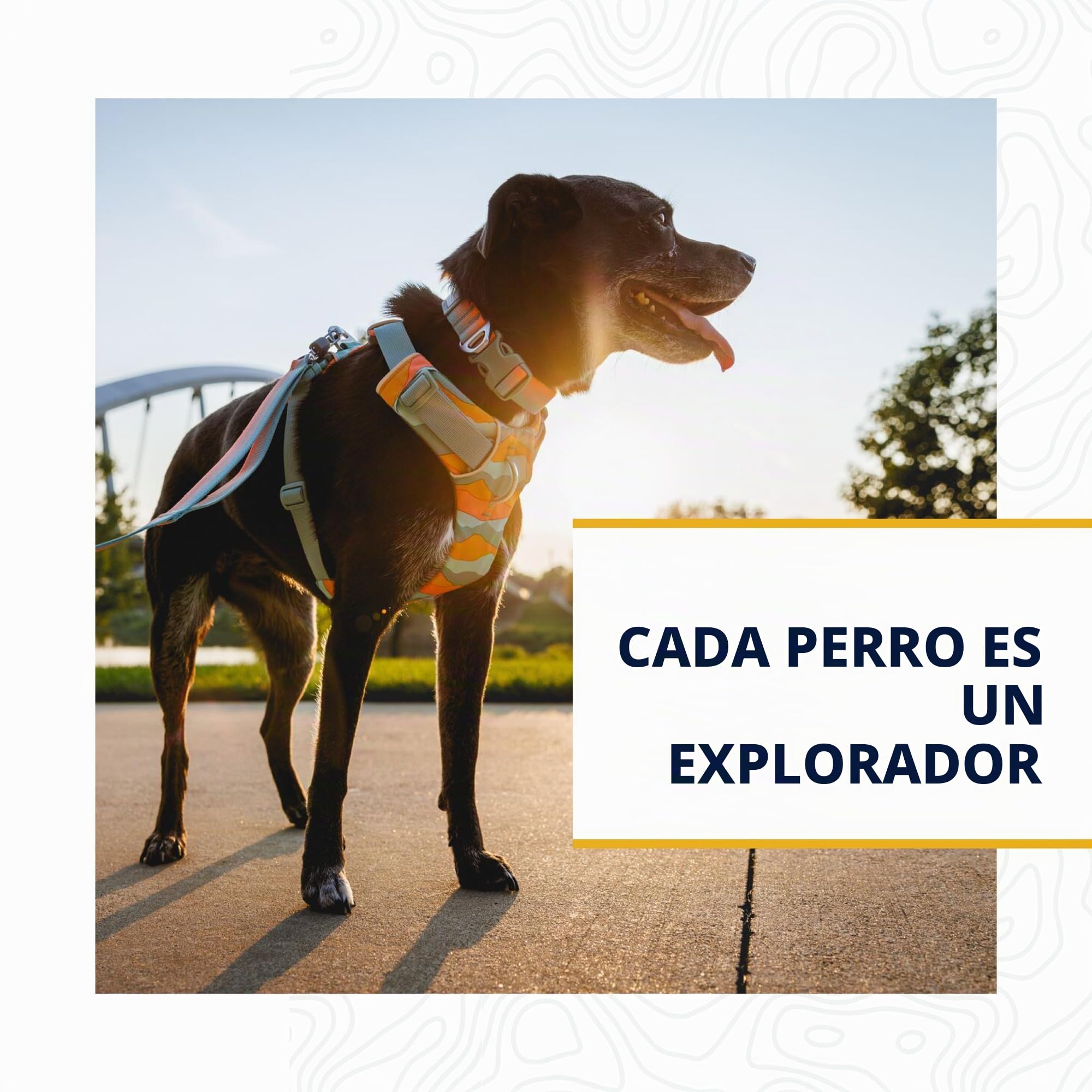 RUFFWEAR Correa de Perro, Front Range Leash, Ligera y Duradera, 1,5 m con manija Acolchada y Clip Crux Giratorio Seguro, Correa Tubelok compacta y aerodinámica, Coastal Fade
