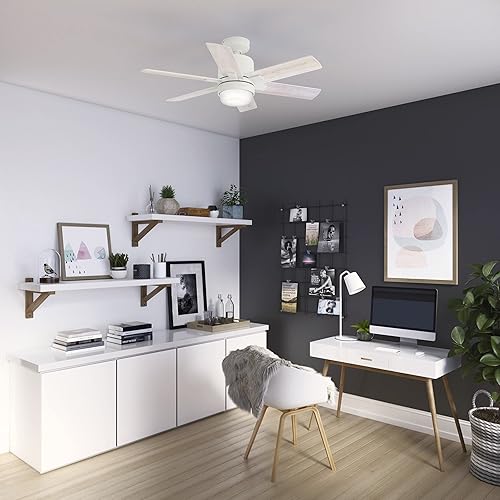 Miniatura 4 de Hunter Fan Company 50955 Radeon Ventilador de techo, 44, blanco mate