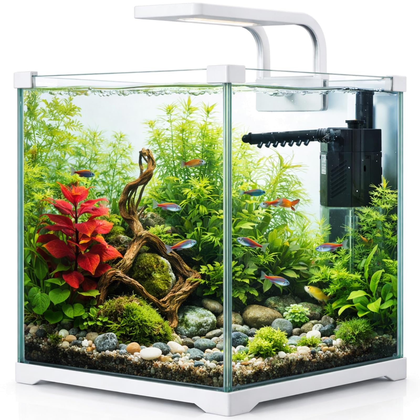 Kruger Meier Shrimp!One Pro 30 Aquarium Komplettset 15L – Nano Aquarium mit LED Beleuchtung und Innenfilter für Garnelen & Fische
