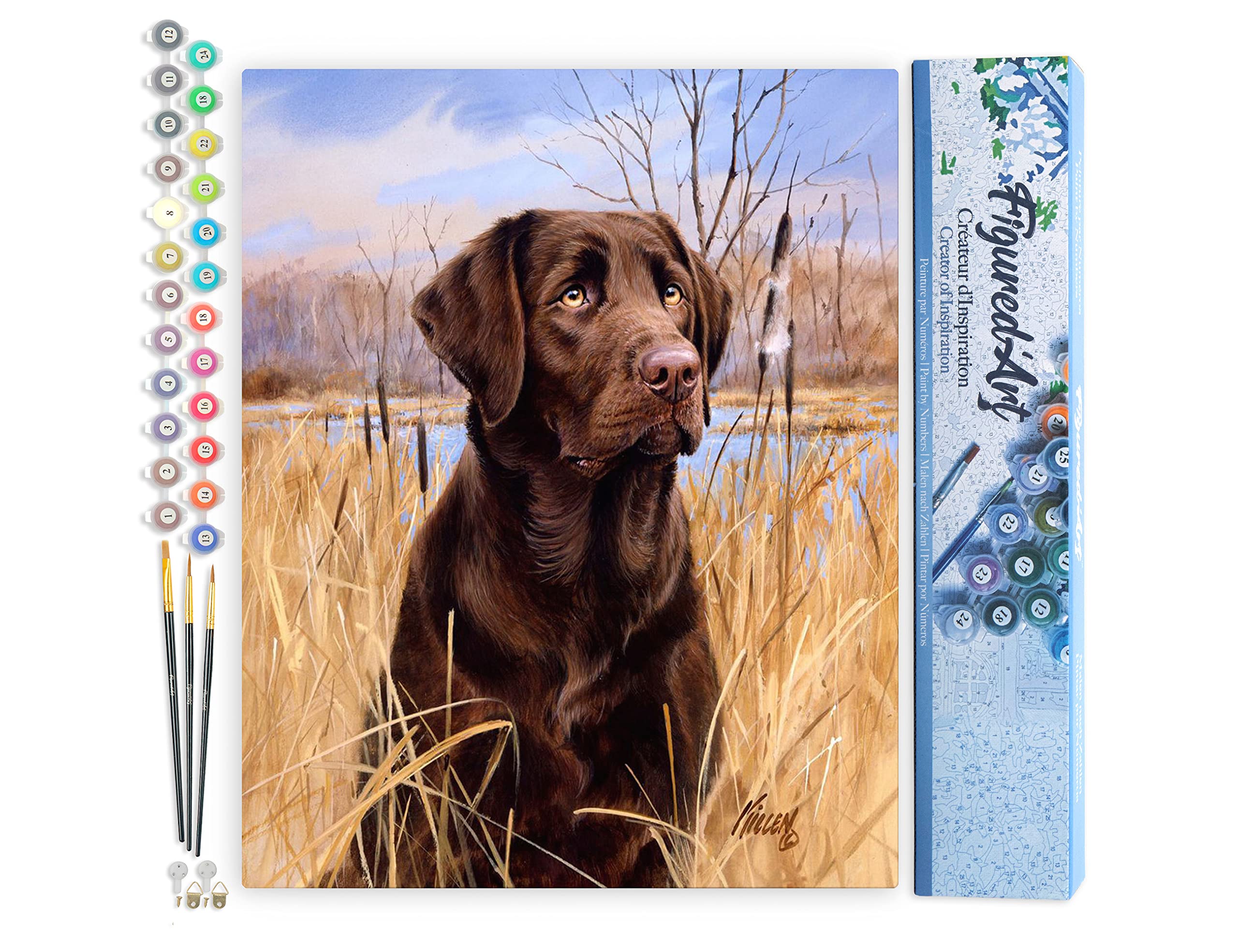 Figured'Art Paint by Numbers for Adults Labrador 40x50cm - Craft Art Painting DIY Kit Rolled Canvas Without Frame
