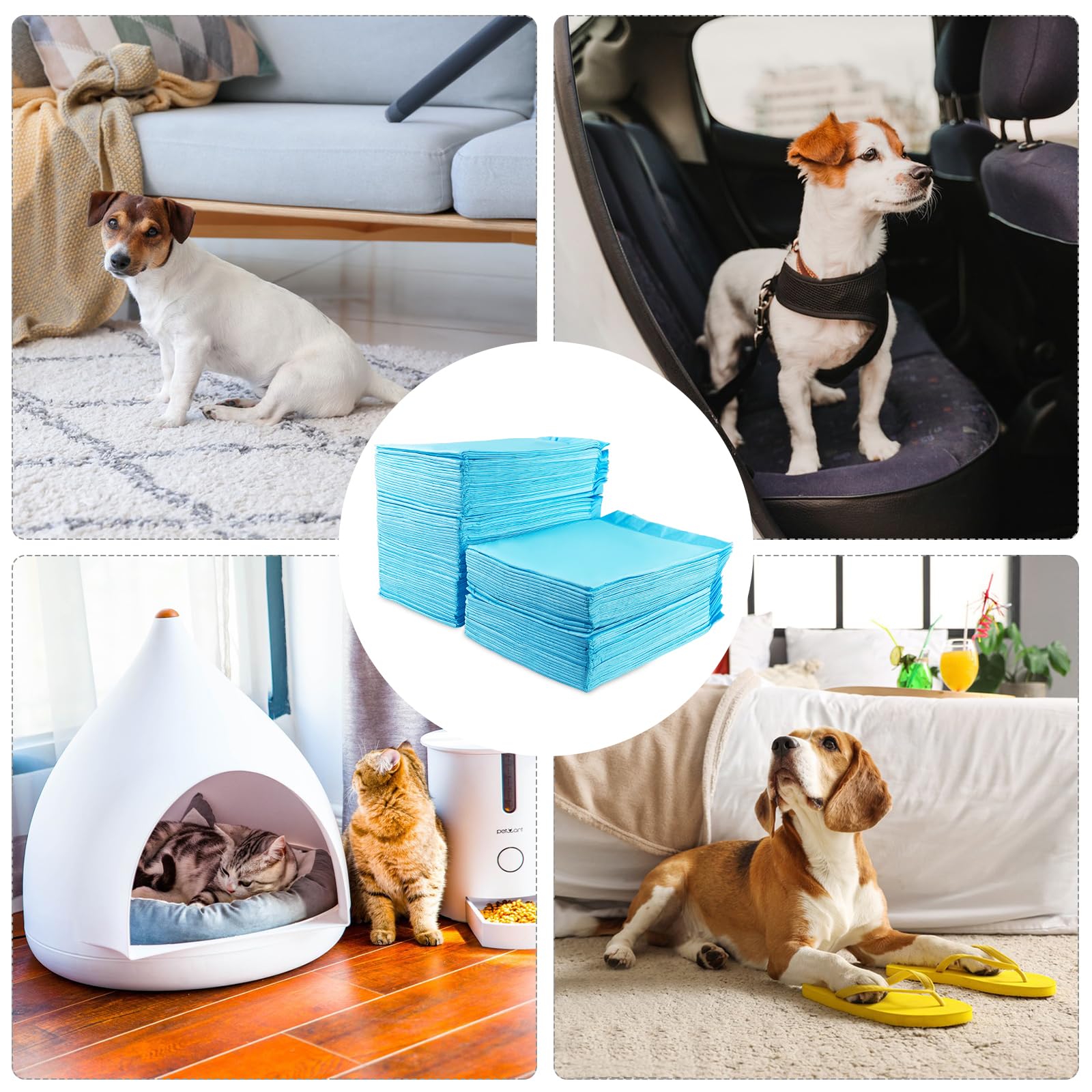 Fousenuk 100 Unidades Empapadores Perros 60X60cm, Almohadillas Perro para Puppy Pads en Casa, WC Perros Alfombrillas Higiénica Desechables para Mascotas, Superficie de Secado Rápido, Transpirables