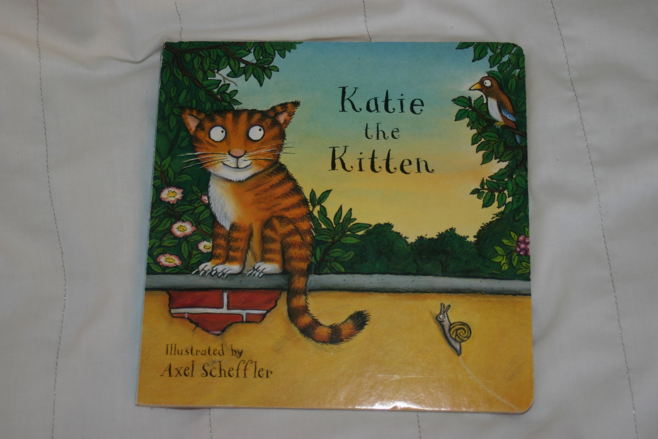 Katie the Kitten