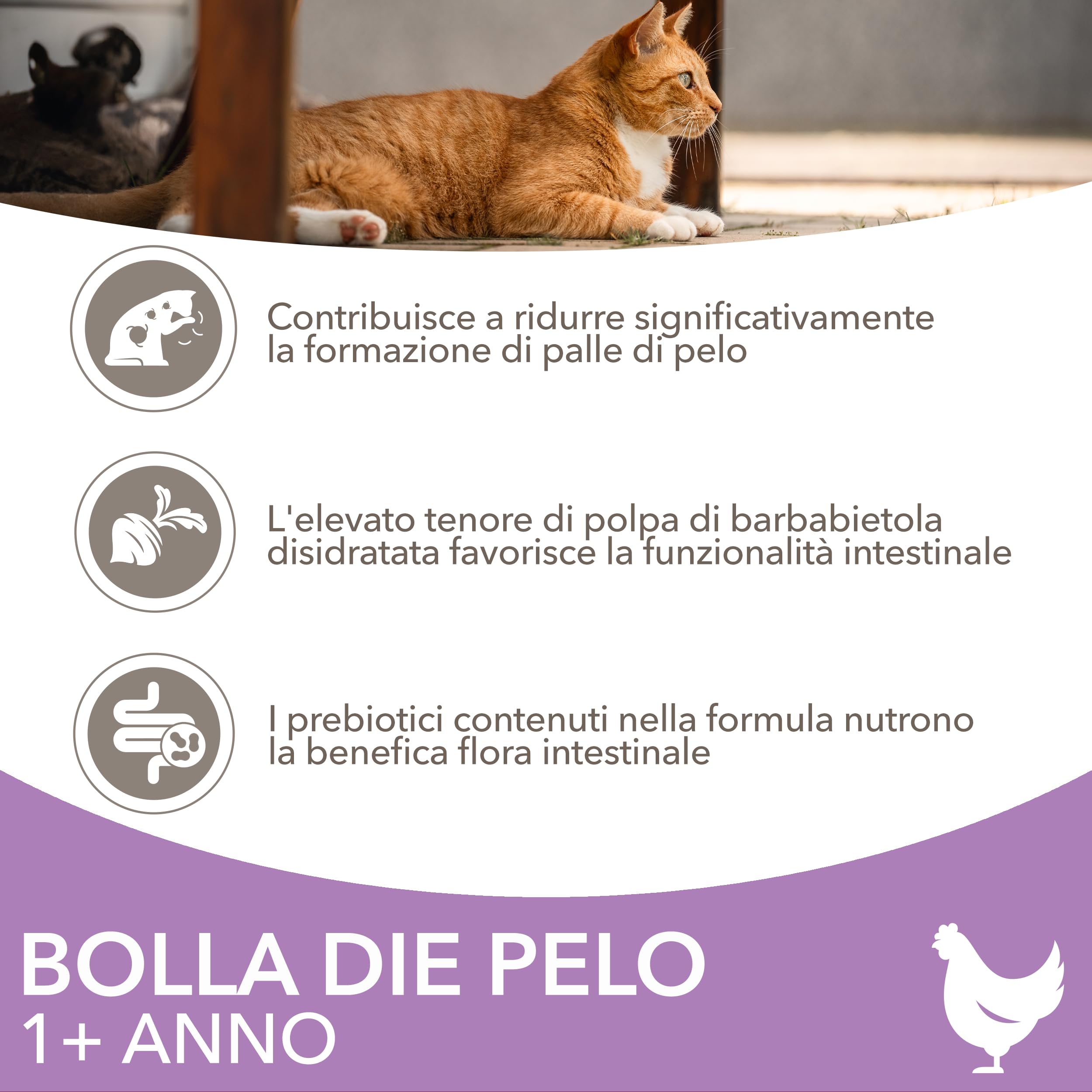 IAMS Anti-Hairball cibo secco per Gatti - Alimento secco per ridurre i boli di pelo per Gatti da 1 anno, 10 kg