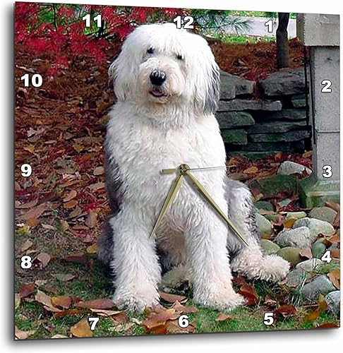 3dRose LLC Old English Sheepdog - Reloj de pared, 10 x 10 pulgadas