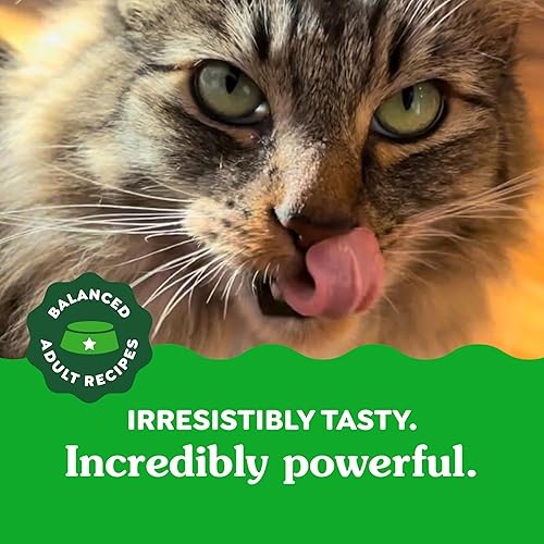 Miniatura 12 de Greenies Feline Adult Natural Dental Care Cat Treats Tentador sabor atún, 21 oz. Tina