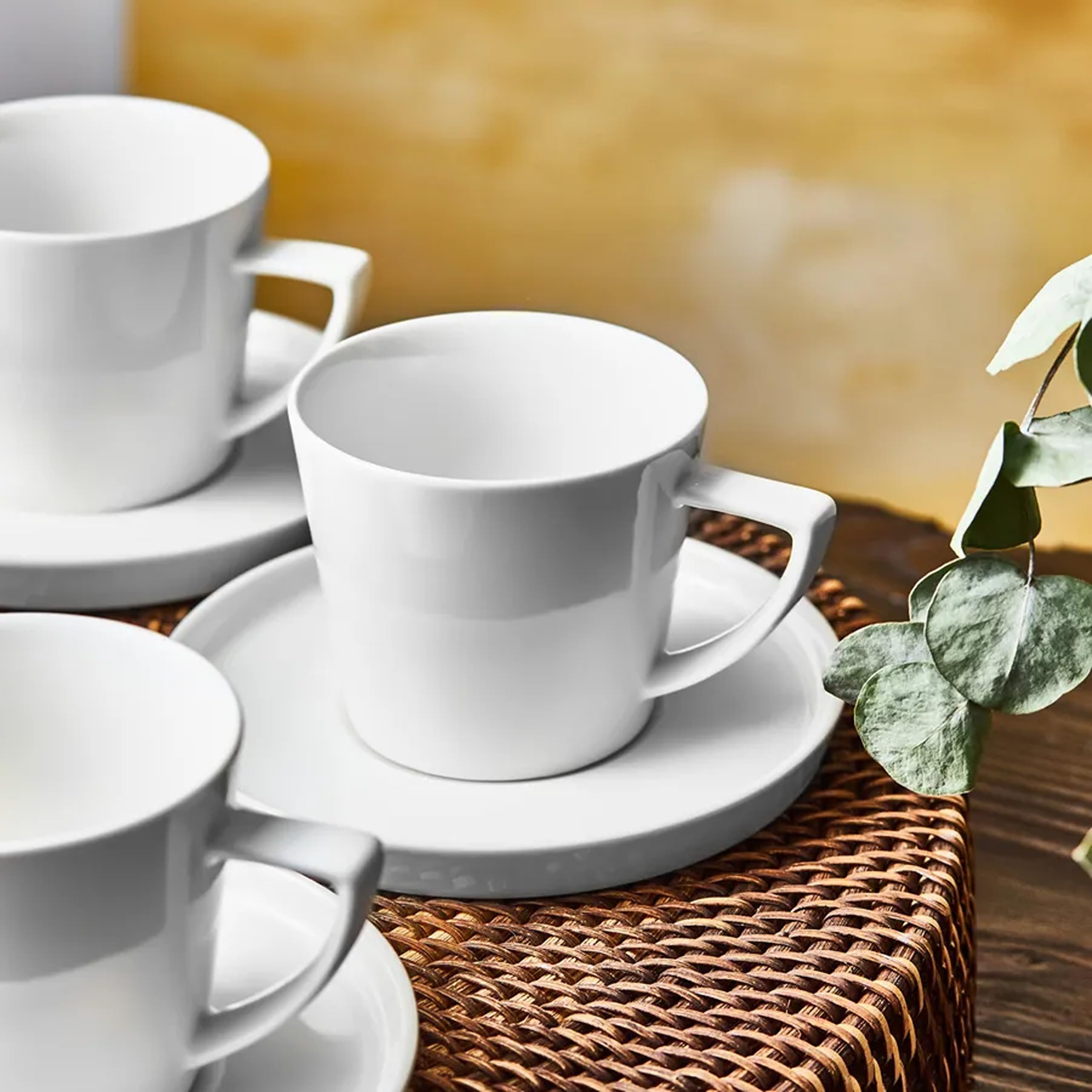 Karaca Salvare 12 Piece New Generation Bone Tea Cup and Saucer Set