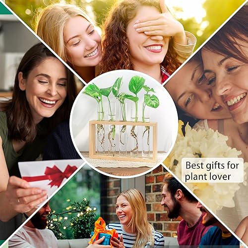 Miniatura 94 de Ivolador - Terrario de cristal colgante, maceta para plantas hidropónicas, decoración para el hogar