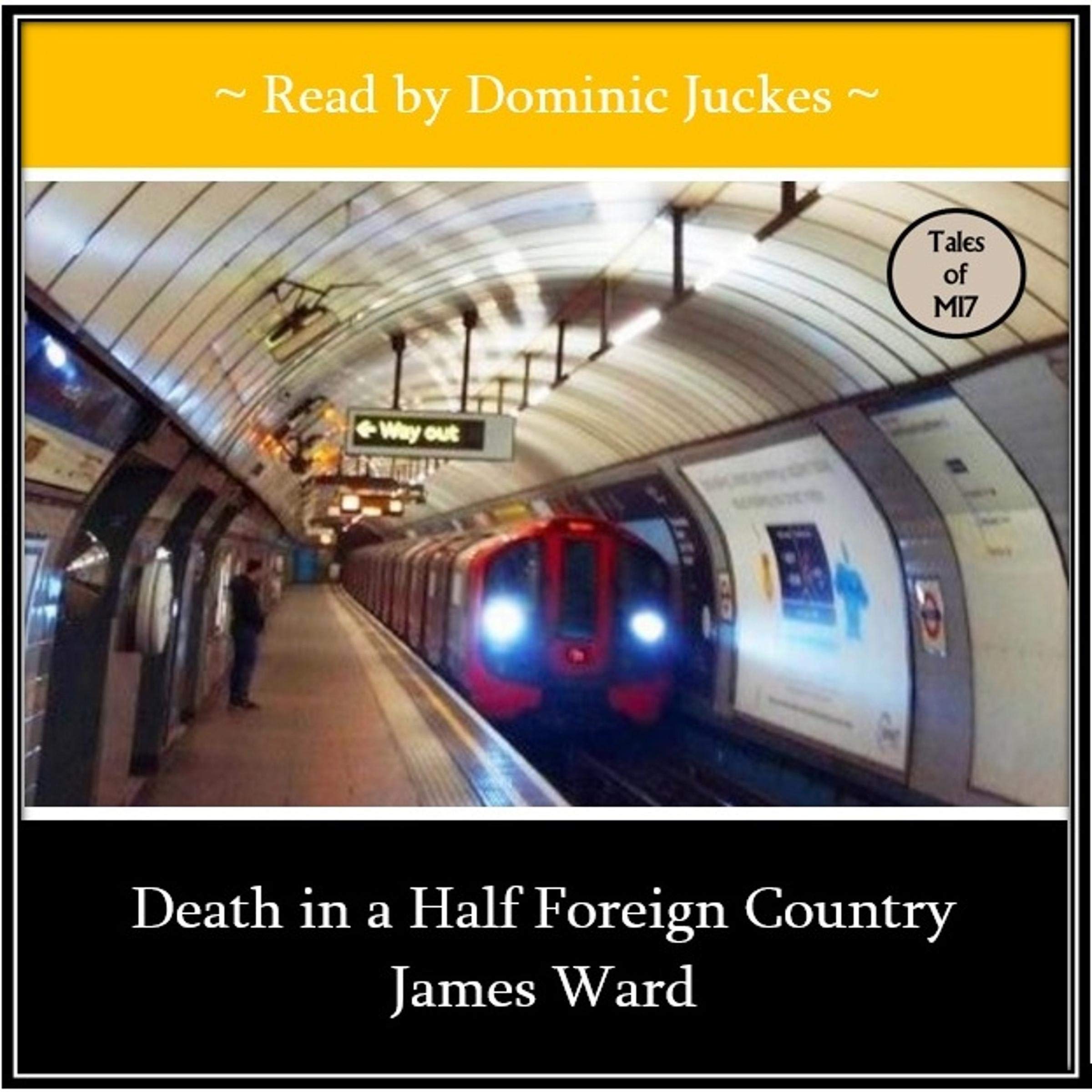 Cover art for Death in a Half Foreign Country