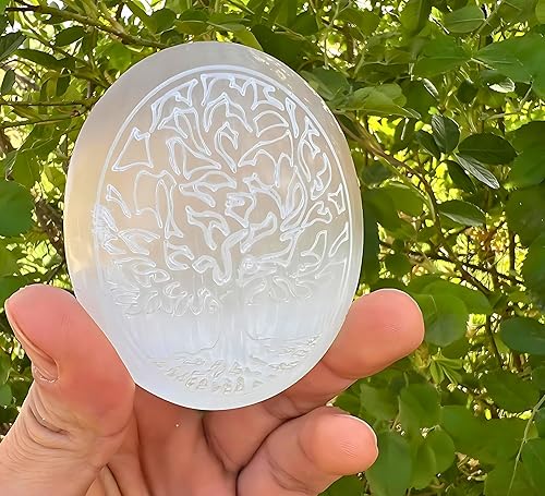 Miniatura 6 de Xen Minerals Piedra de palma con grabado de árbol de la vida, pequeñas piedras de cristal curativo para preocupaciones y reflejos, limpieza