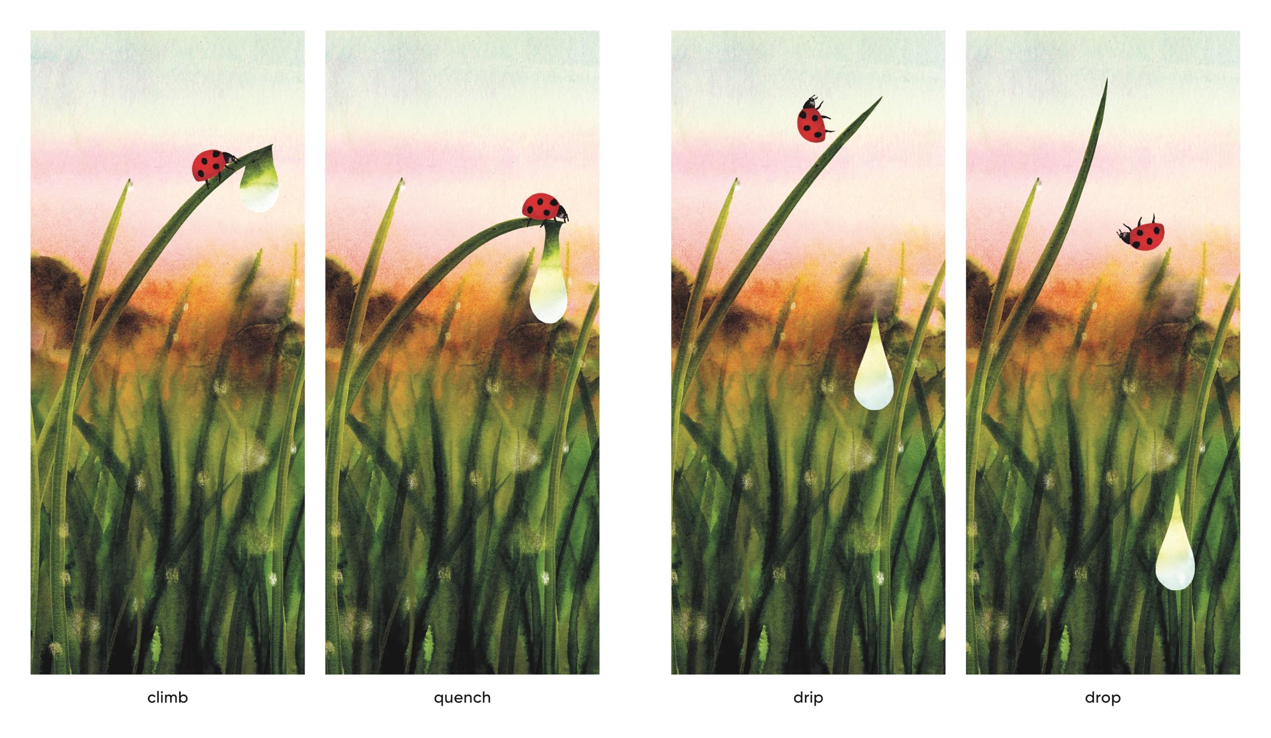 Dawn: Watch the World Awaken