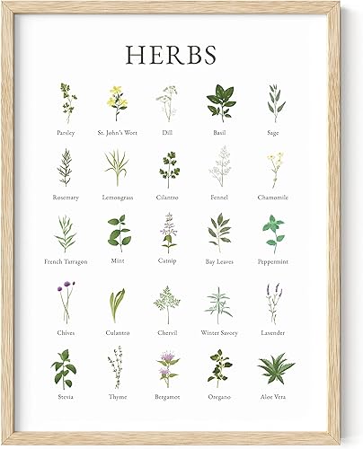 HAUS AND HUES Imágenes de hierbas para pared de cocina, cocina, hierbas, arte de pared e impresiones botánicas de hierbas, arte de pared de cocina,