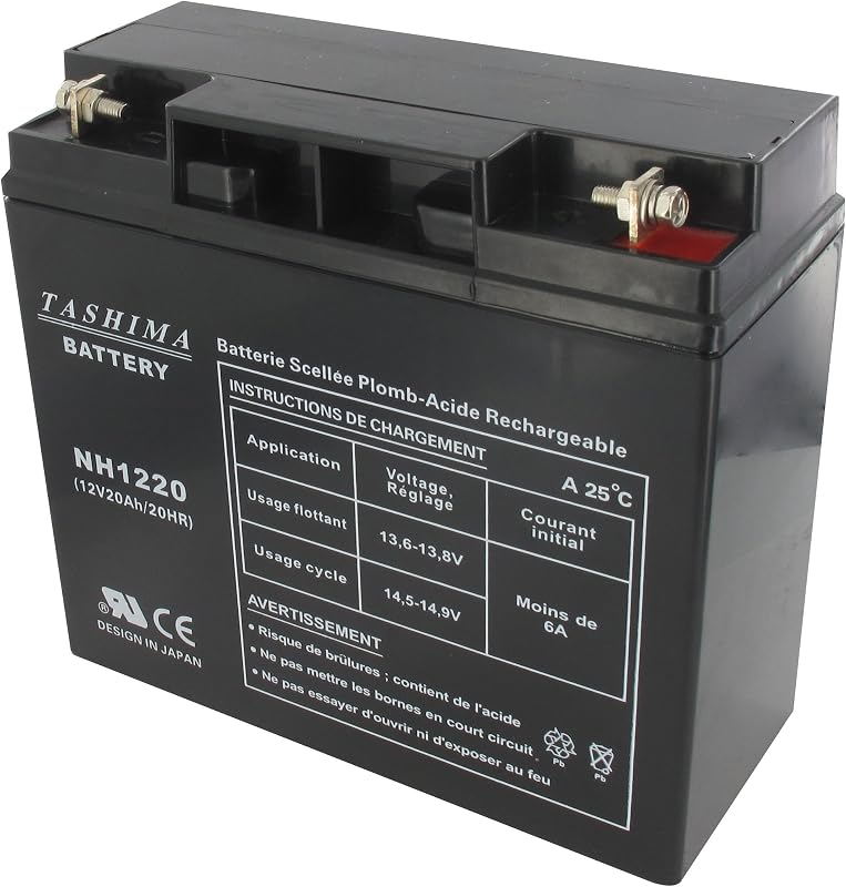 TASHIMA - Batterie 12V 20AH NH1220 Motoculture - Technologie Plomb Étanche Gel Sans Acide - Borne + À Droite - Pour Moteurs Thermiques Type Tracteur, Tondeuse À Gazon Autoportée & Motoculteur