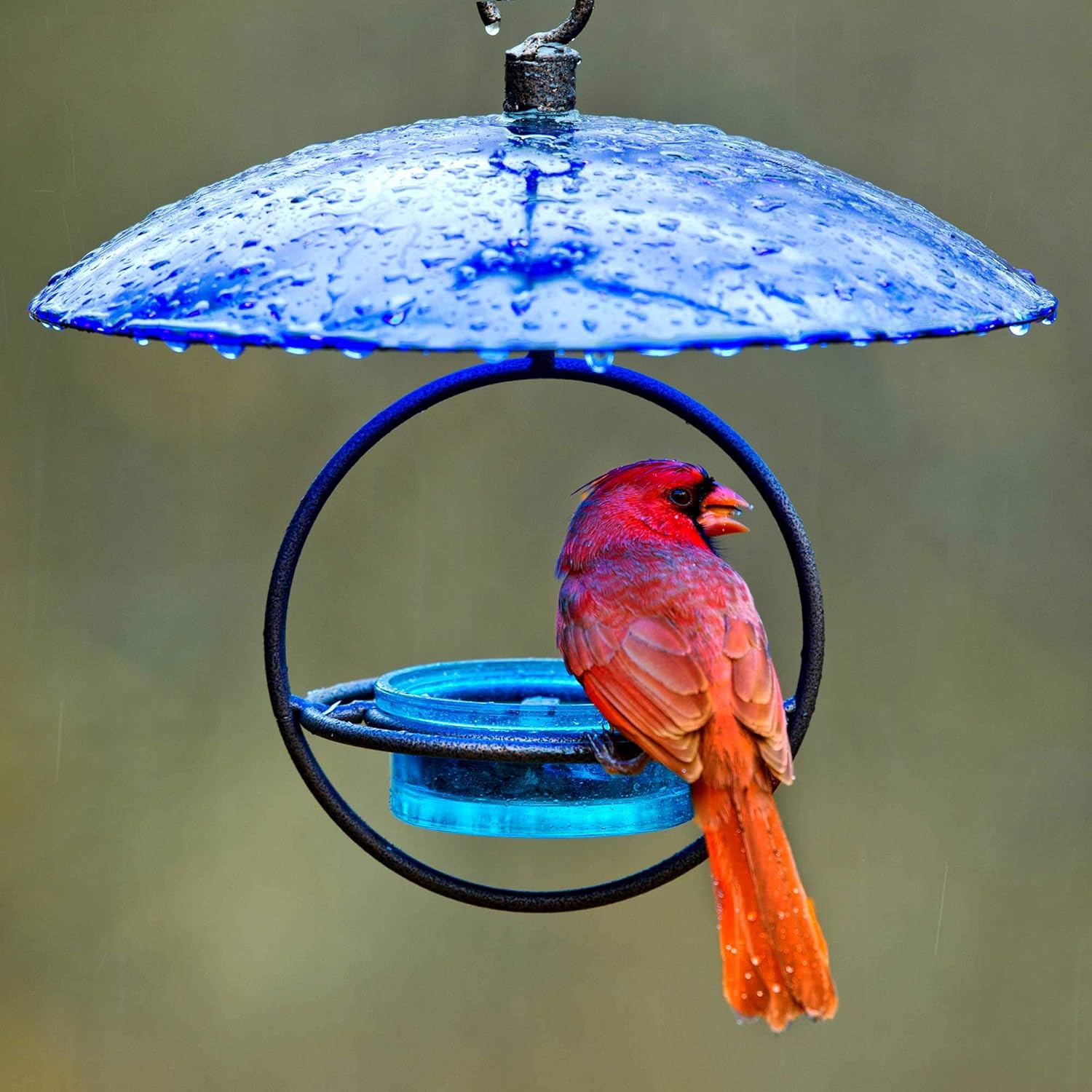 Petite Glass Baffle Dome for Protecting Outdoor Feeders, Recycled Glass Weather Shield Compatible with Mosaic Bird Feeder, and Hummingbird Feeders, 11 Inch Wide, Cobalt Blue