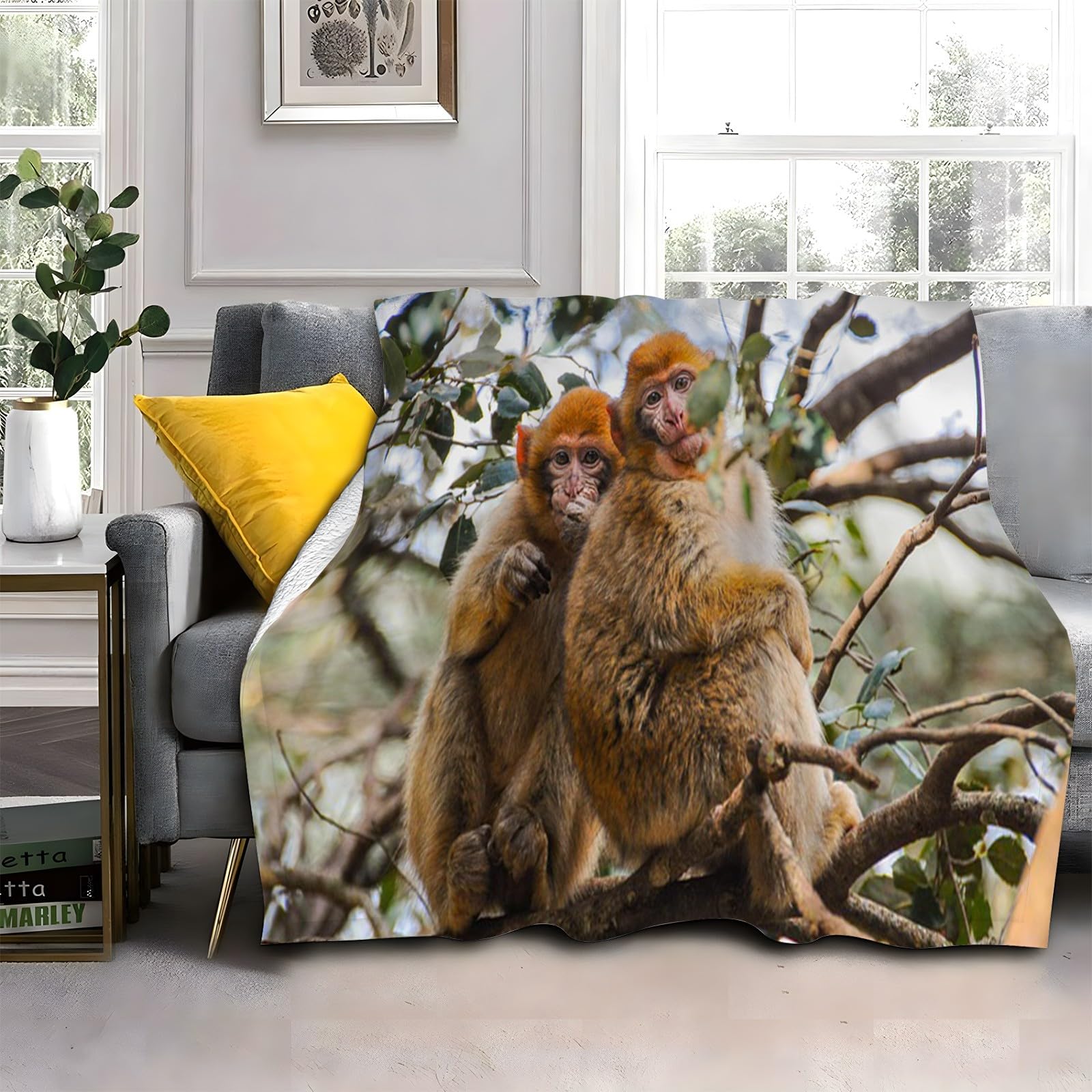 LLSZAHD Brown Monkey Blanket, Animals Throw Blanket, Thick Warm Fuzzy Washable Flannel Blanket for Sofa, Chair, Car, Lap, Pets, excellent gift (30"x40")
