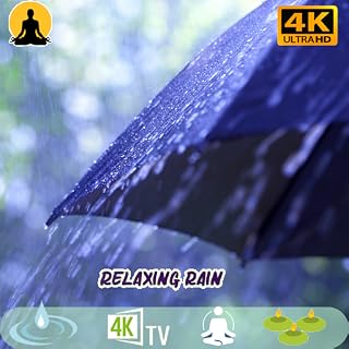 Rain Sounds for Relaxation and Sleep: Soothing Nature Sounds for Deep Sleep and Stress Relief Meditation ☔ to Reduce Stress,No Ads