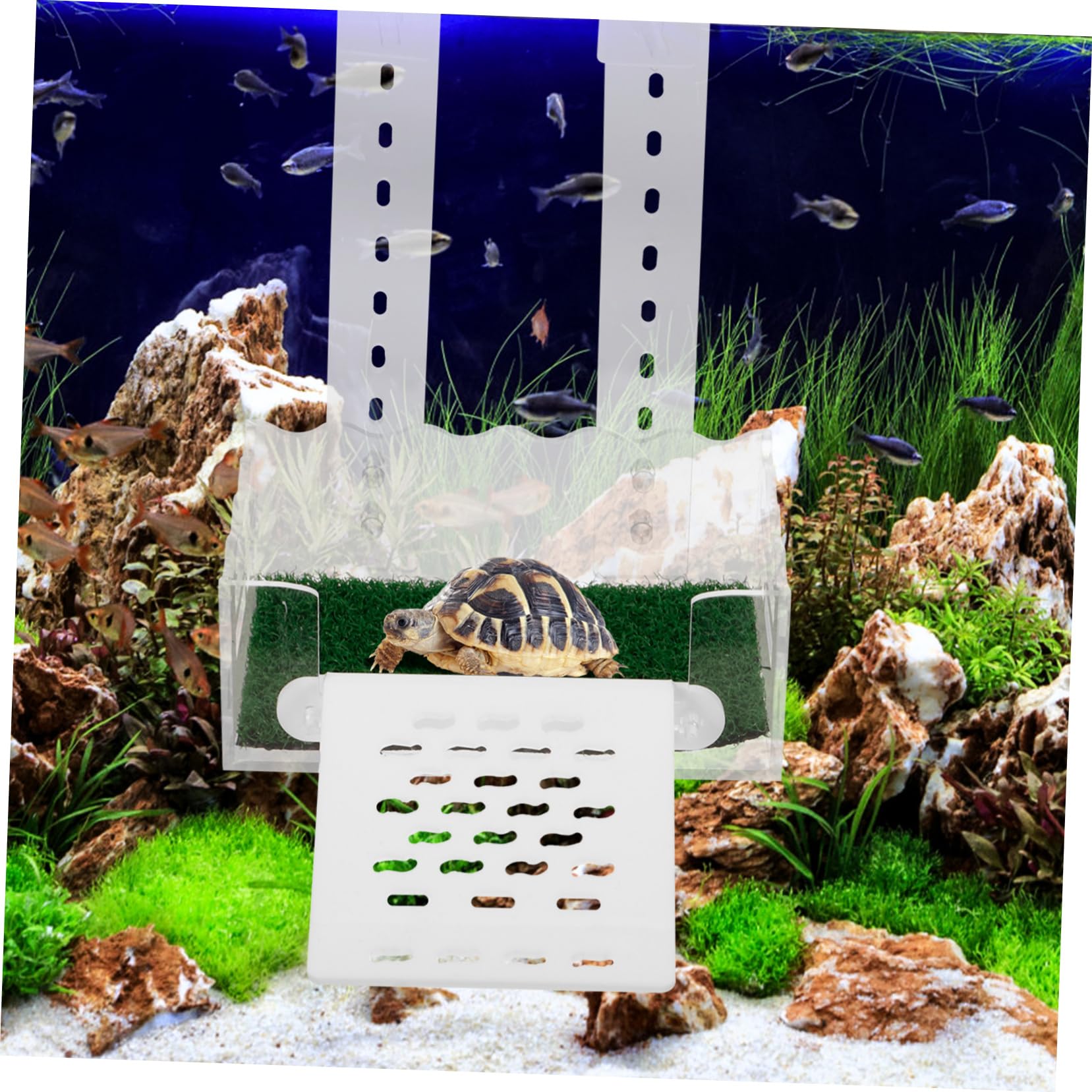 BESPORTBLE 5 Pièces Tortue Coucher De Soleil Plate-Forme d'escalade pour Reptiles Accessoires pour Réservoir De Tortues Rampe d'escalade pour Reptiles Accessoires De Terrarium Acrylique