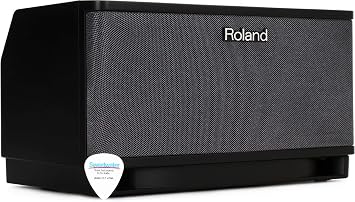 Roland CUBE-LT-BK Guitar Amplifier Black