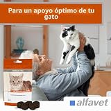 Ver la foto 4