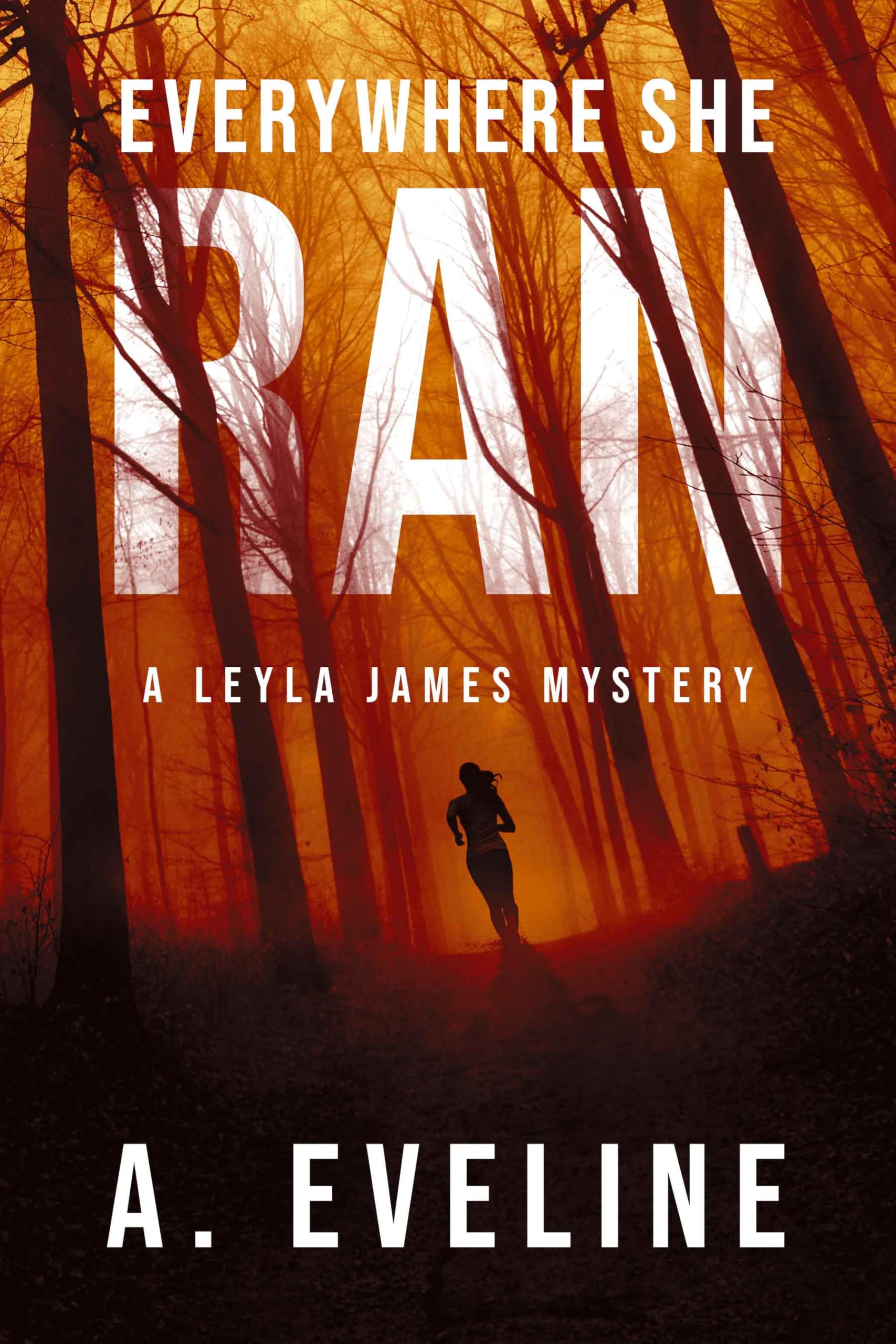 Everywhere She Ran (Leyla James Mysteries Book 5)