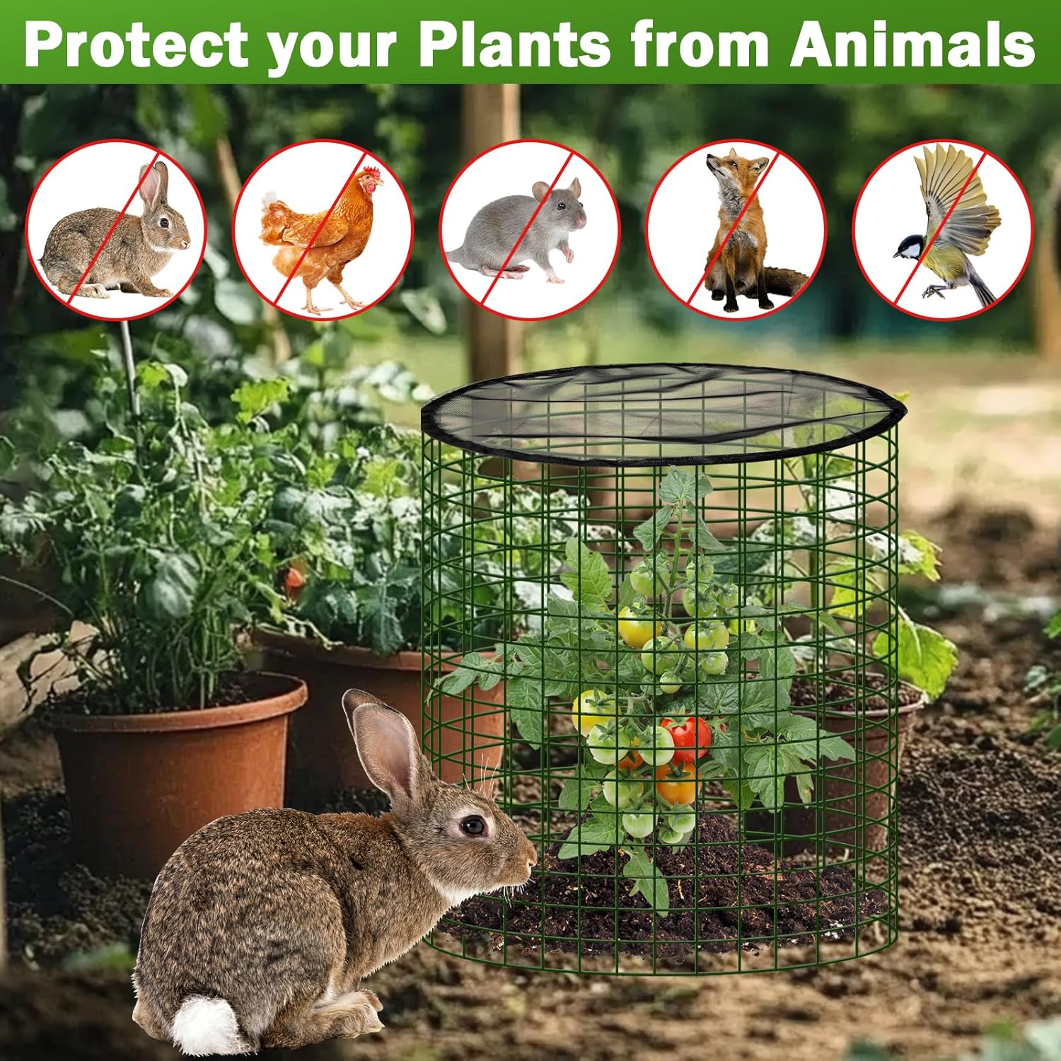 Plant Protector from Animals with Detachable Covers - 4 Pack 16”x 16" Wire Cage Cloches with Ground Stakes and Tools for Protecting Vegetable, Flower, Seedling