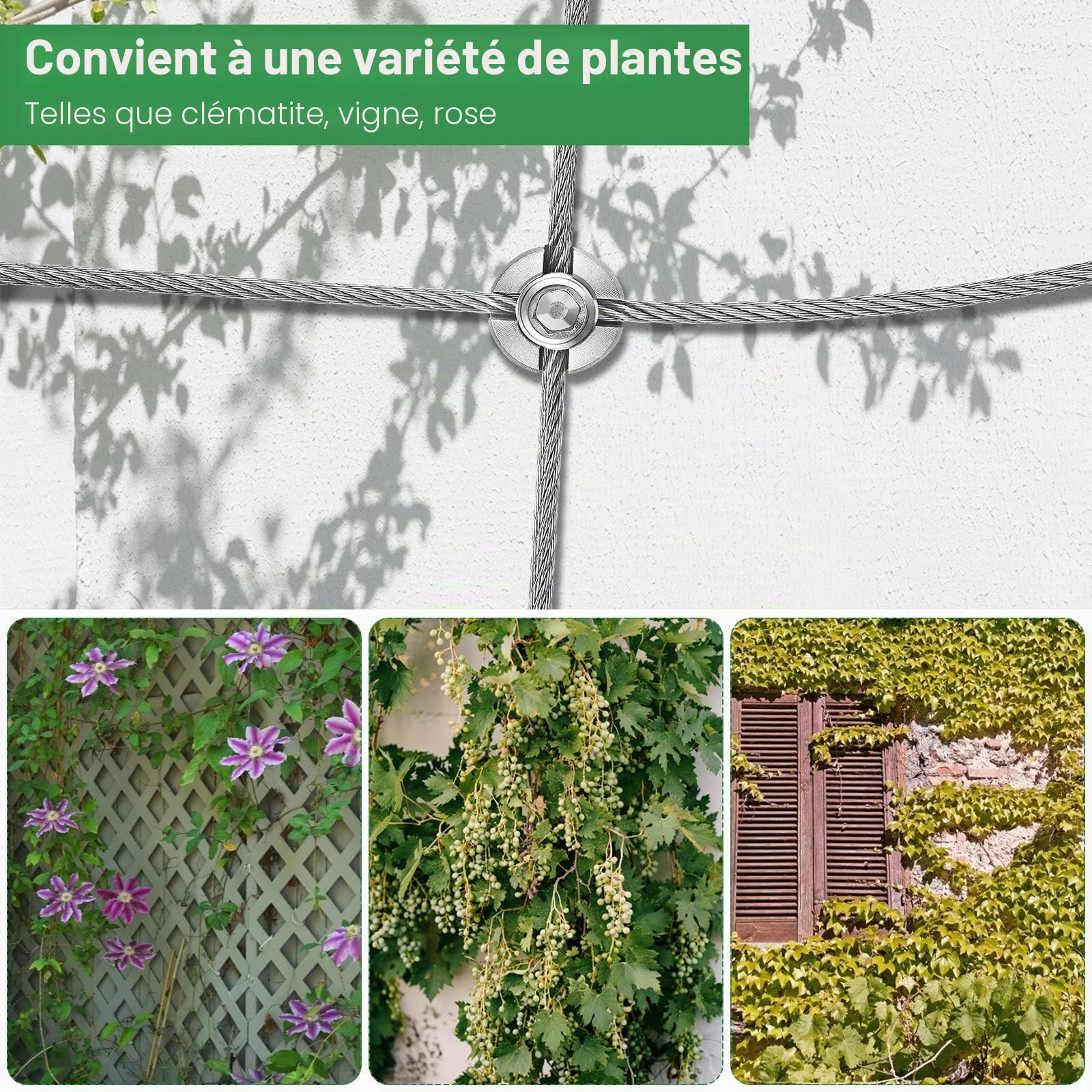 Support pour Plantes grimpantes Corde de 24 m, Support Treillis pour Plantes Grimpantes Kit avec Supports muraux et Corde de 3 mm, 16 Supports