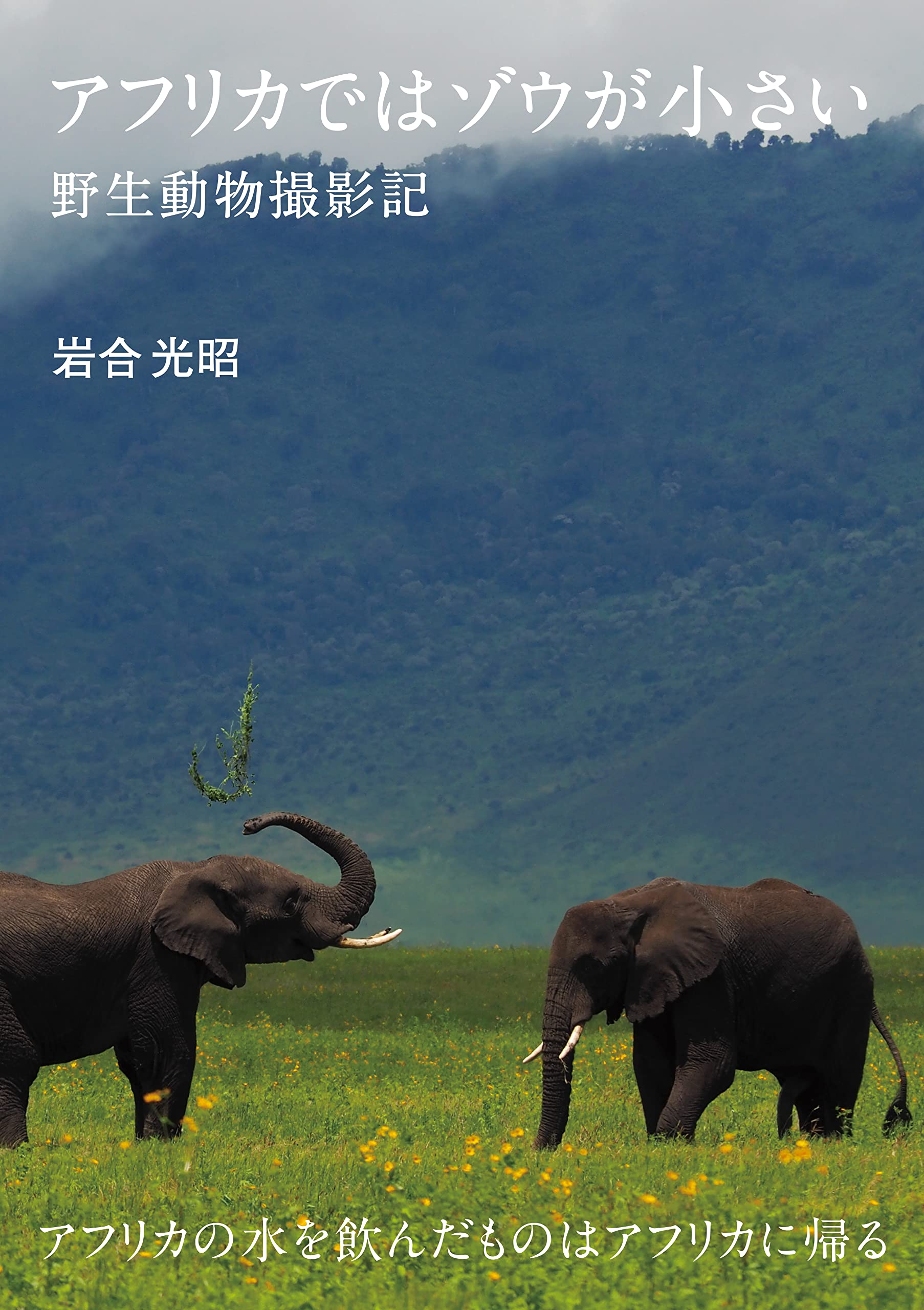 アフリカではゾウが小さい 野生動物撮影記 | 岩合 光昭, 岩合 光昭 |本