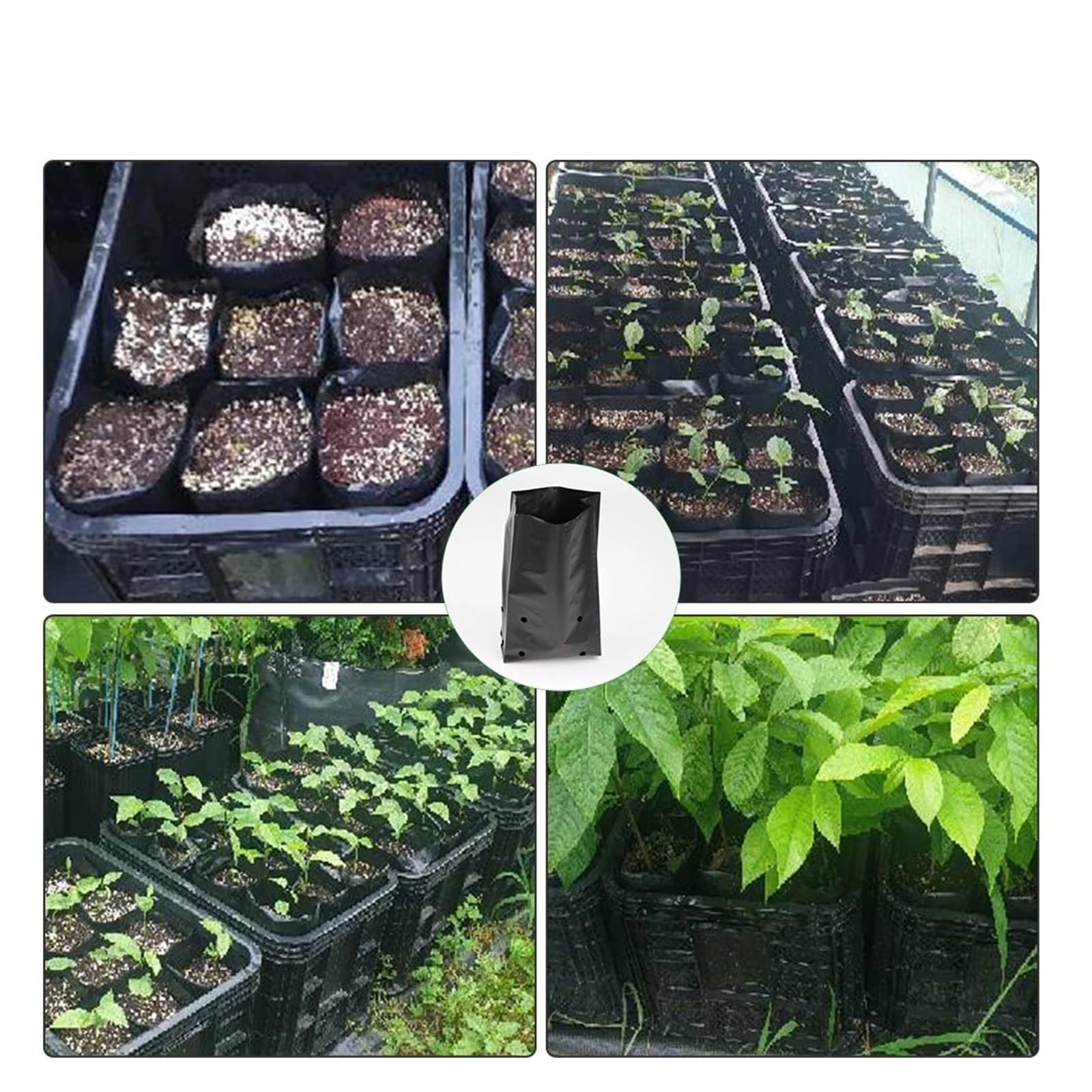 Generico 50 pz Nero Piantina Piantare Borsa Traspirante Piante da vivaio Coltivazione Vaso for Giardino Frutteto Albero Trapianto Contenitore(24x31cm-50pcs)