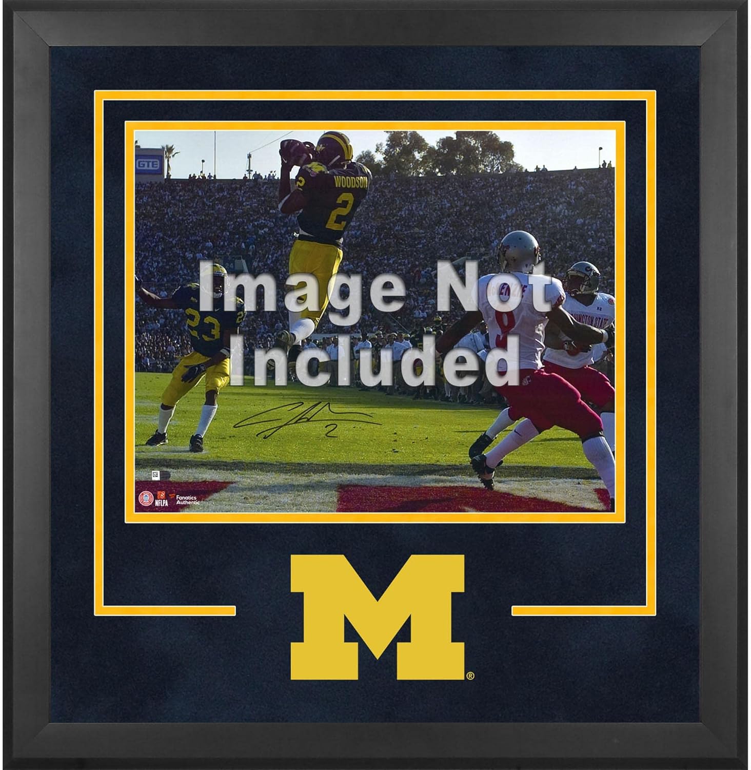 Michigan Wolverines Deluxe 16" x 20" Horizontal Photograph Frame with Team Logo - College Other Display Cases