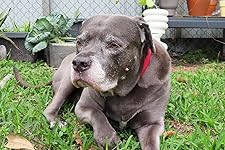 Review Image by Taylor Taylor