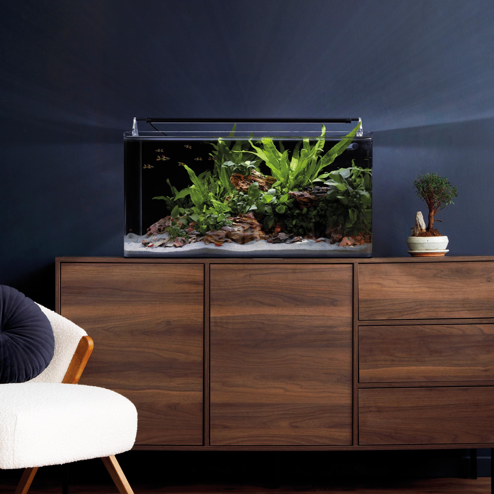 Dennerle Nano Tank Basic, 60 Liter