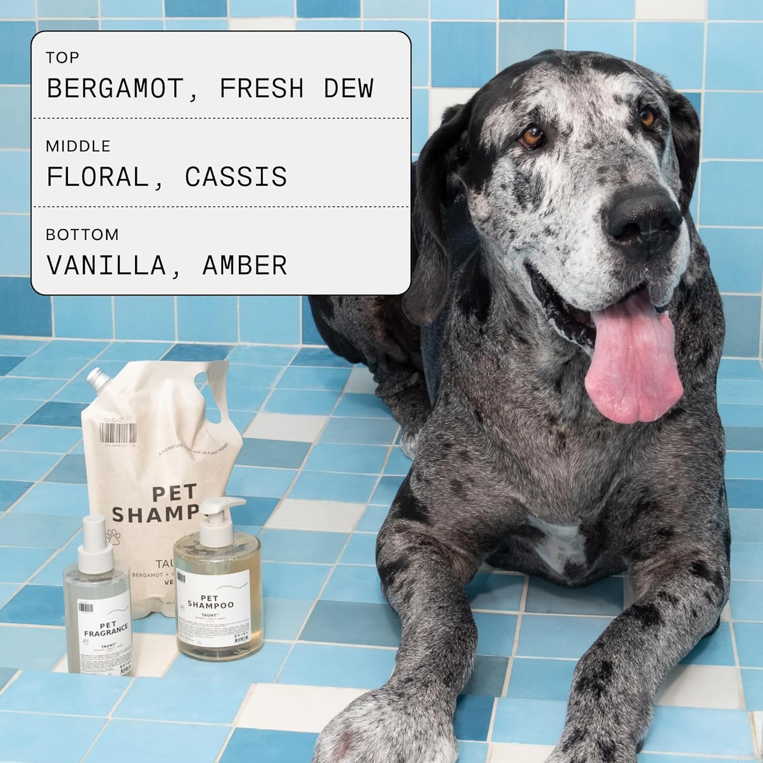 DedCool Pet Shampoo | 01 Taunt | Gentle Cleanser for Dogs & Cats | Plant-Based Formula for Soft, Fresh Coats | Sulfate-Free, Dye-Free | Vegan | 16.9 fl oz