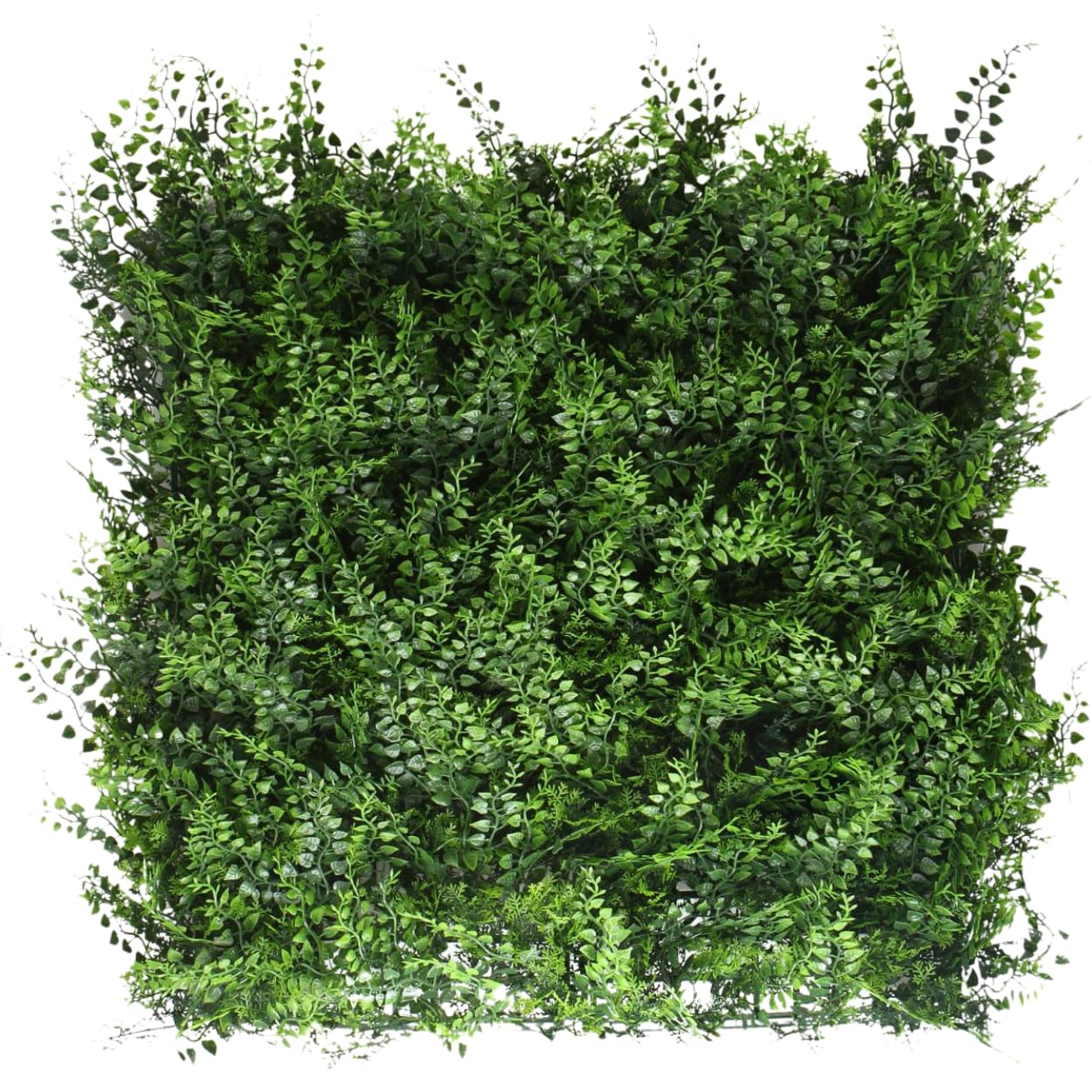 Ark Mat Artificial Plant Flower Living Wall Panels Realistic Indoor/Outdoor Garden 50CM X 50CM Home, Office, Cafe, Shop, Salon, Wedding (Fern)