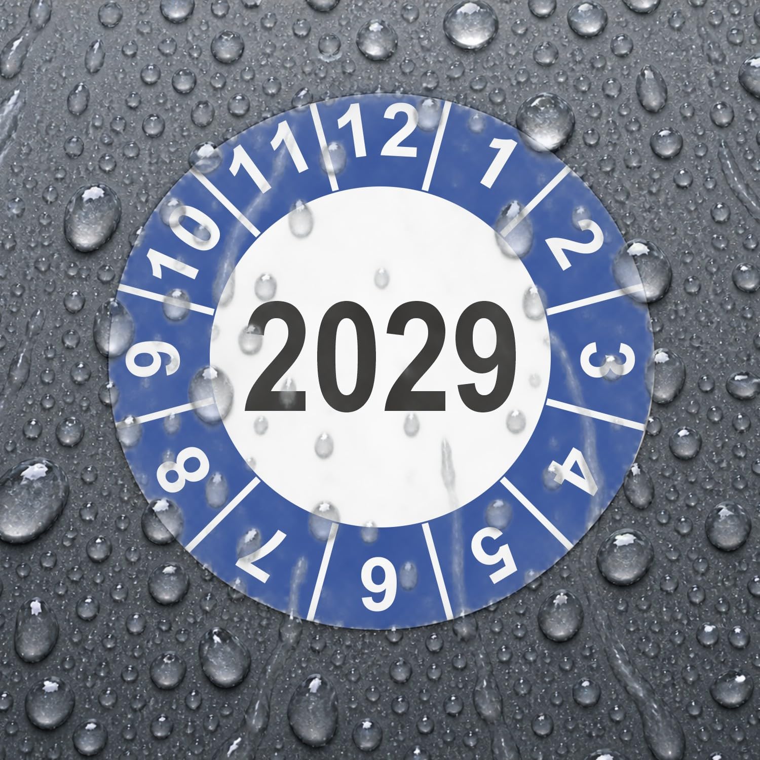 Hochwertige Prüfetiketten JAHRESPLAKETTE 2029 Ø 40mm - Selbstklebende PVC-Folie - Wartungsetiketten für Prüfung - Prüfplakette für Prüfungsnachweis (500 Stück)