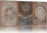 SIGNINART Neutral Botanical Framed Canvas Wall Art Set, Vintage Floral Wall Decor, Boho Minimalist Plant Wall Painting, Art Print for Farmhouse Living Room, Bedroom, Office, Bathroom 16"x24"x3