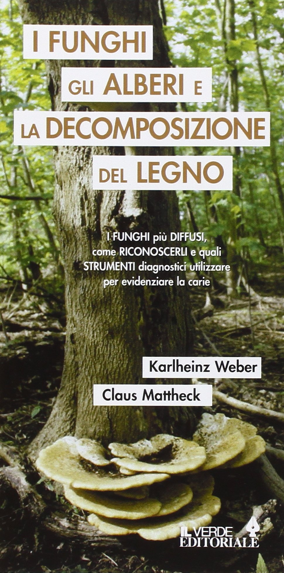 I Funghi, Gli Alberi E La Decomposizione Del Legno - 4