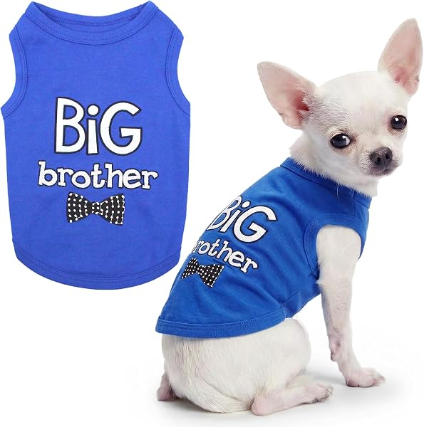 Parisian Pet Dog T-Shirt with Embroidered ' Big Brother ' Words - 100% Cotton, Big Brother Dog Shirt - Sleeveless Pet Vest - Machine Washable Blue Dog Shirts for Small Dogs XXS - 1