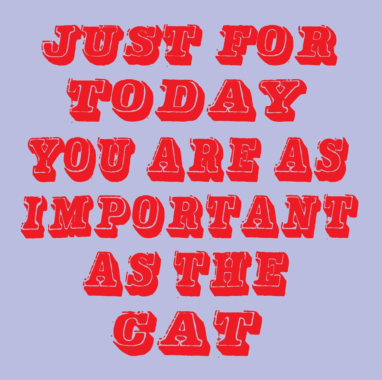 More Important Than The Cat Birthday Card Amazon.co.uk Stationery