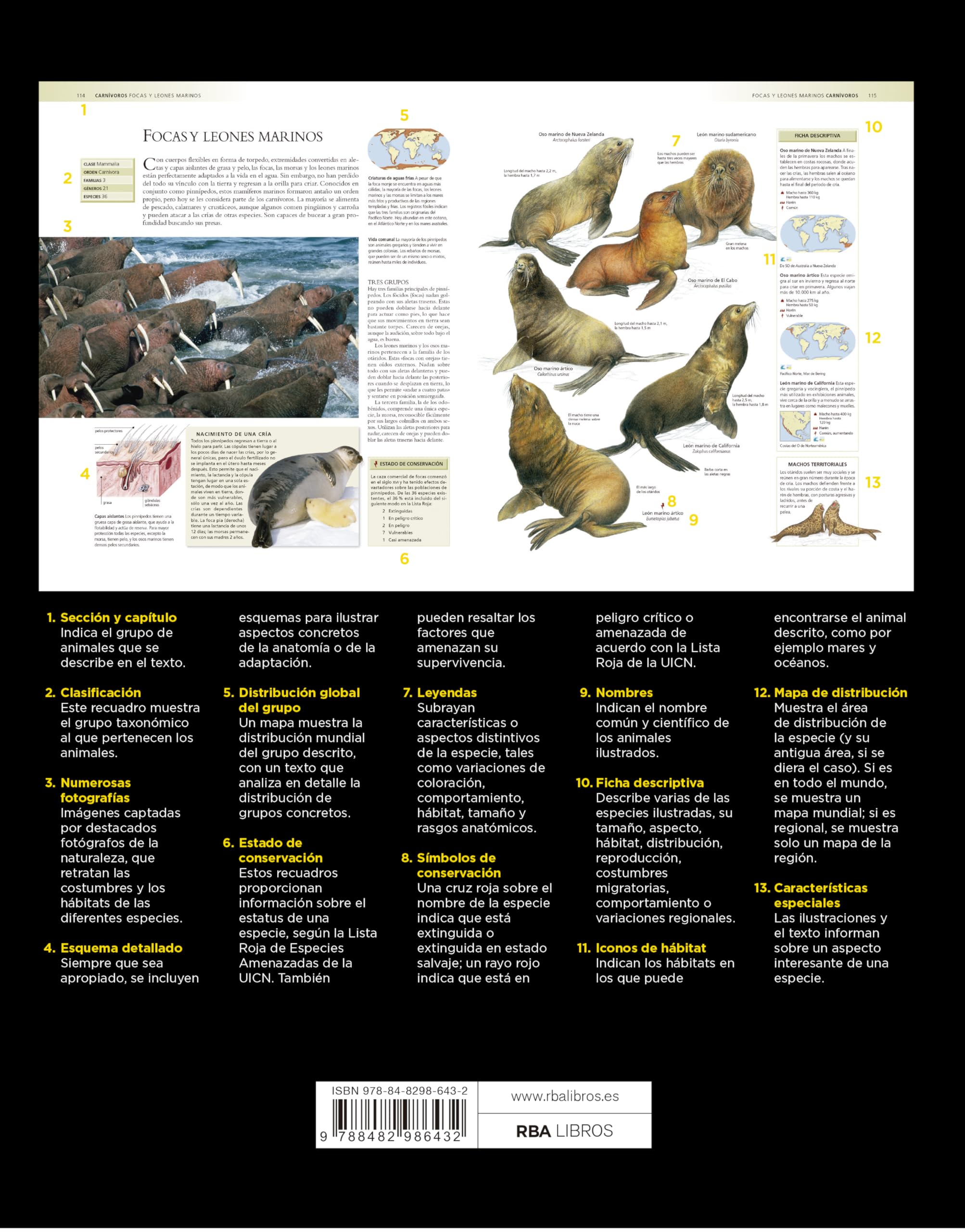 Enciclopedia de los animales (Grandes obras ilustradas, National Geographic)