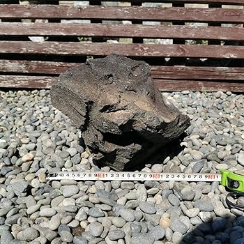 浅間　溶岩石　243キロ　庭石　石　庭　坪庭　ガーデニング　置物　オブジェ 浅間 溶岩石 243キロ 庭石 石 庭 坪庭 ガーデニング 置物 オブジェ