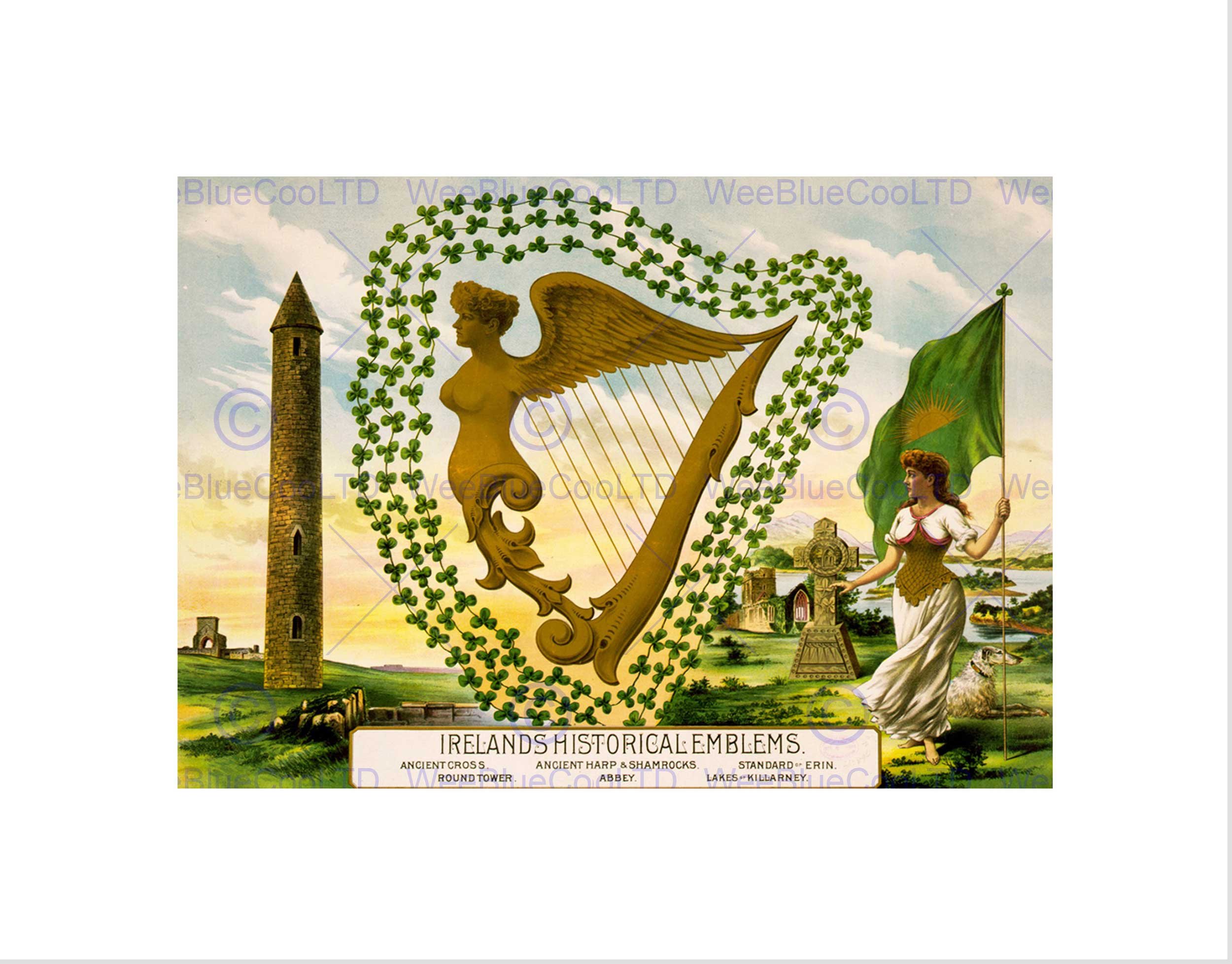 Wee Blue Coo Paintings Ireland Drawing Emblem Harp Shamrock Wall Art Print