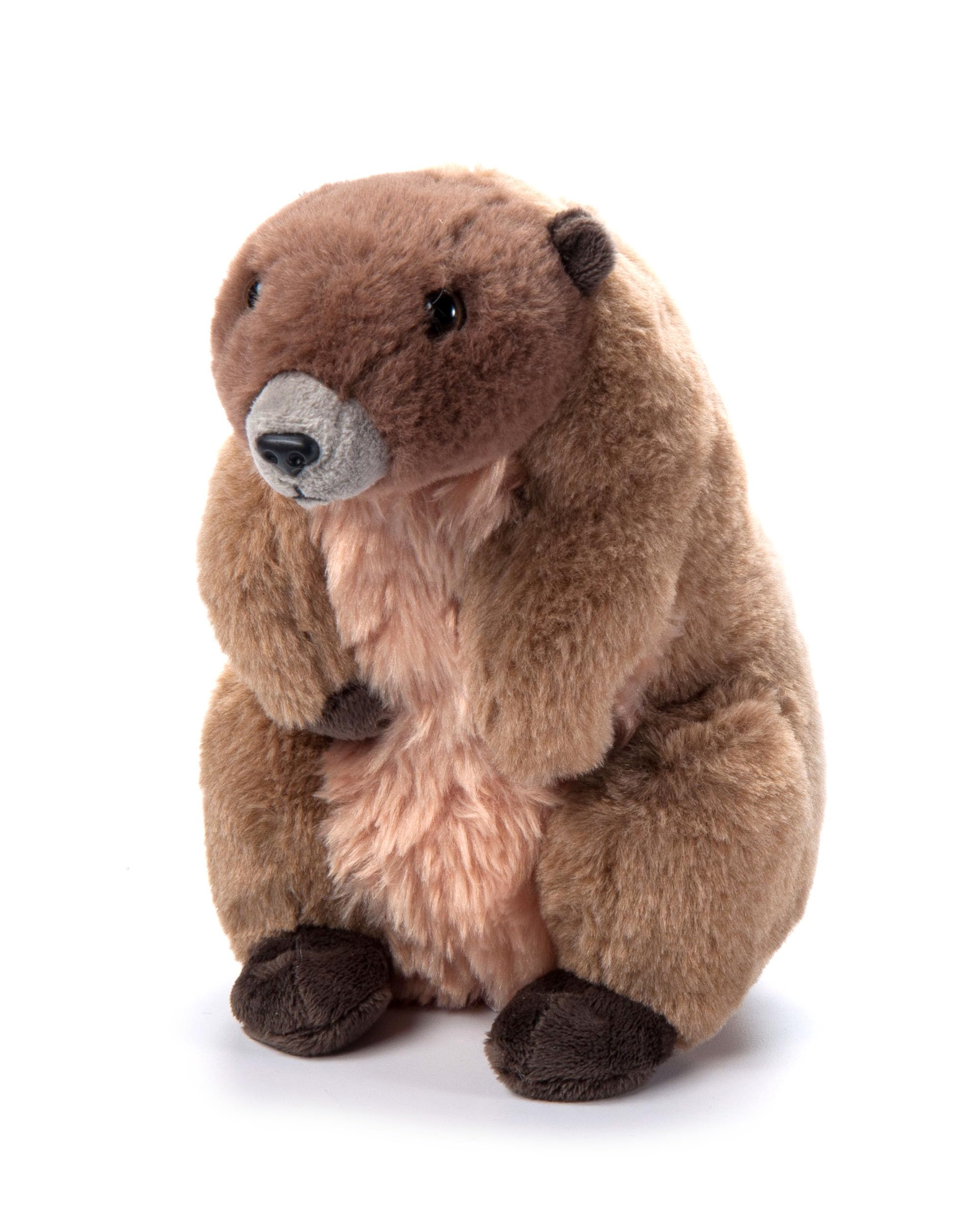 The Petting Zoo Marmot Stuffed Animal Plushie, Gifts for Kids, Wild Onez Animals, Marmot Plush Toy, 9 inches