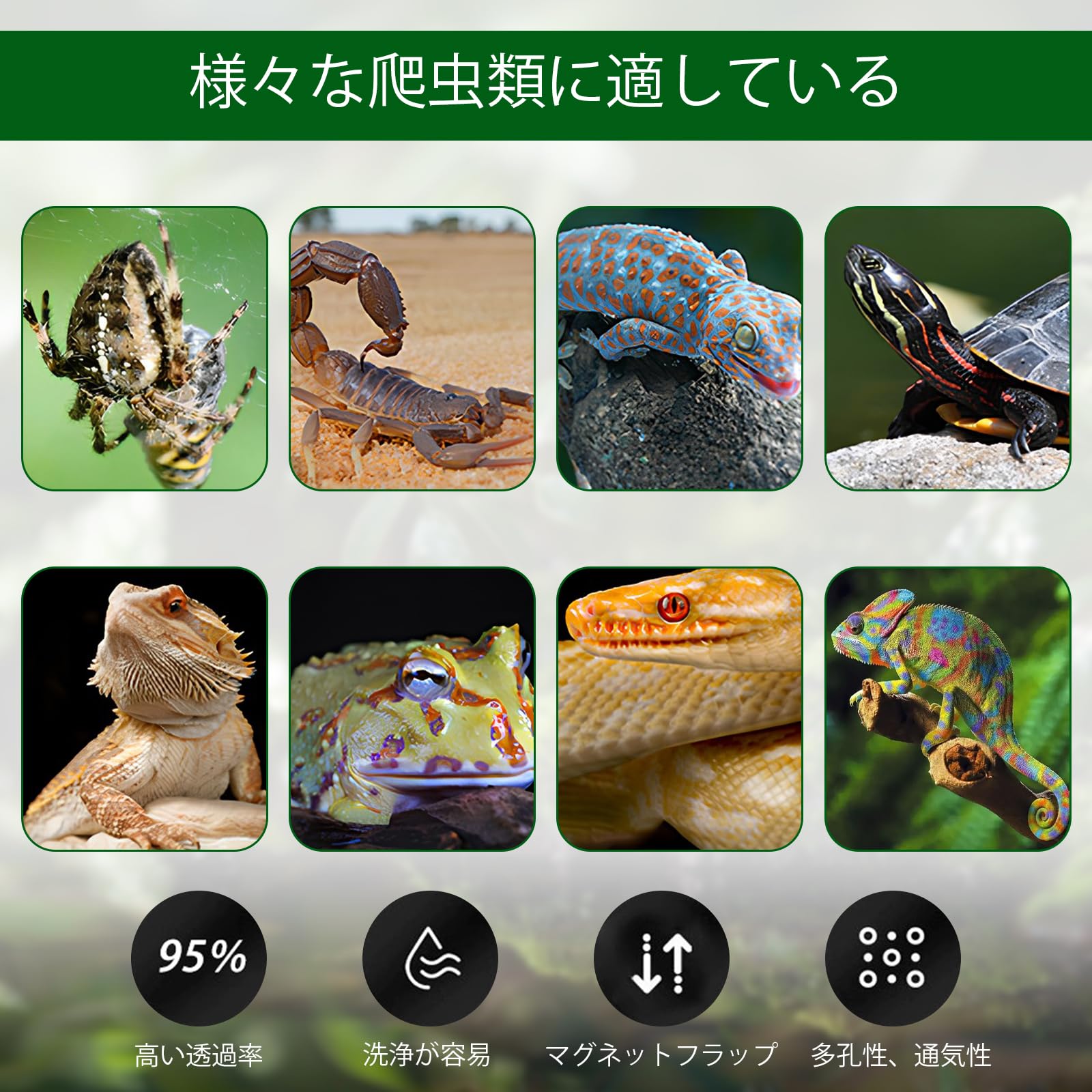 Amazon | 爬虫類 ケージ トカゲ ケージ カナヘビ飼育ケース レプタイル