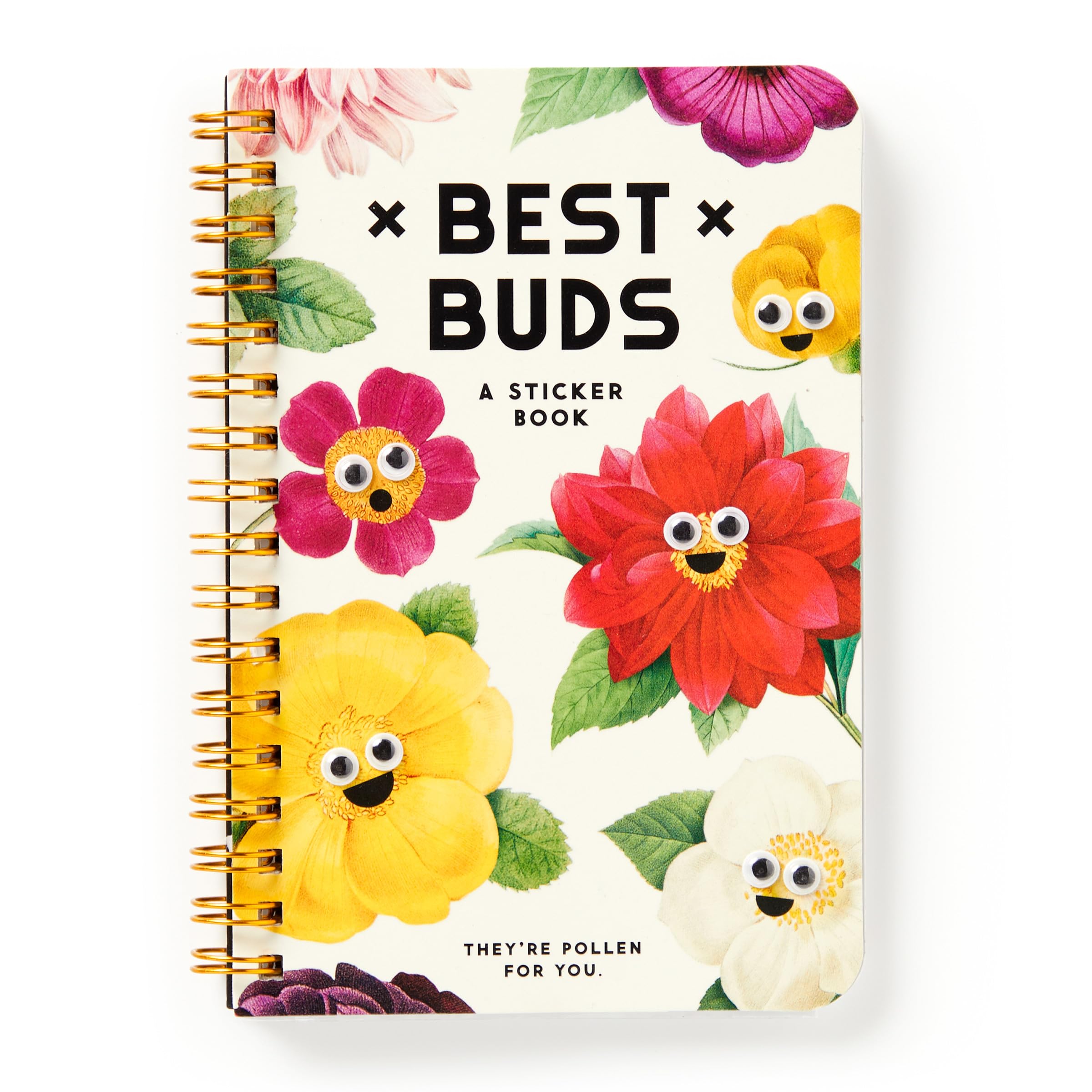 Best Buds Googly Sticker Book (A Brass Monkey Sticker Book)