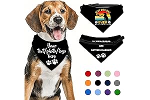 Personalized Dog Bandanas Embroidered with Your Dog's Name in Large, Medium or Small Size