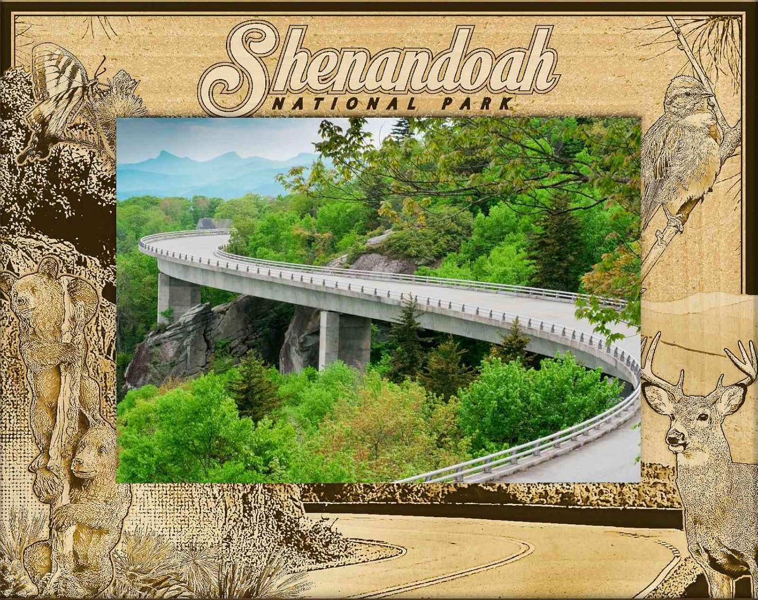 Saddle Mountain Souvenir Shenandoah National Park Engraved Wood Picture Frame Landscape (3 x 5)