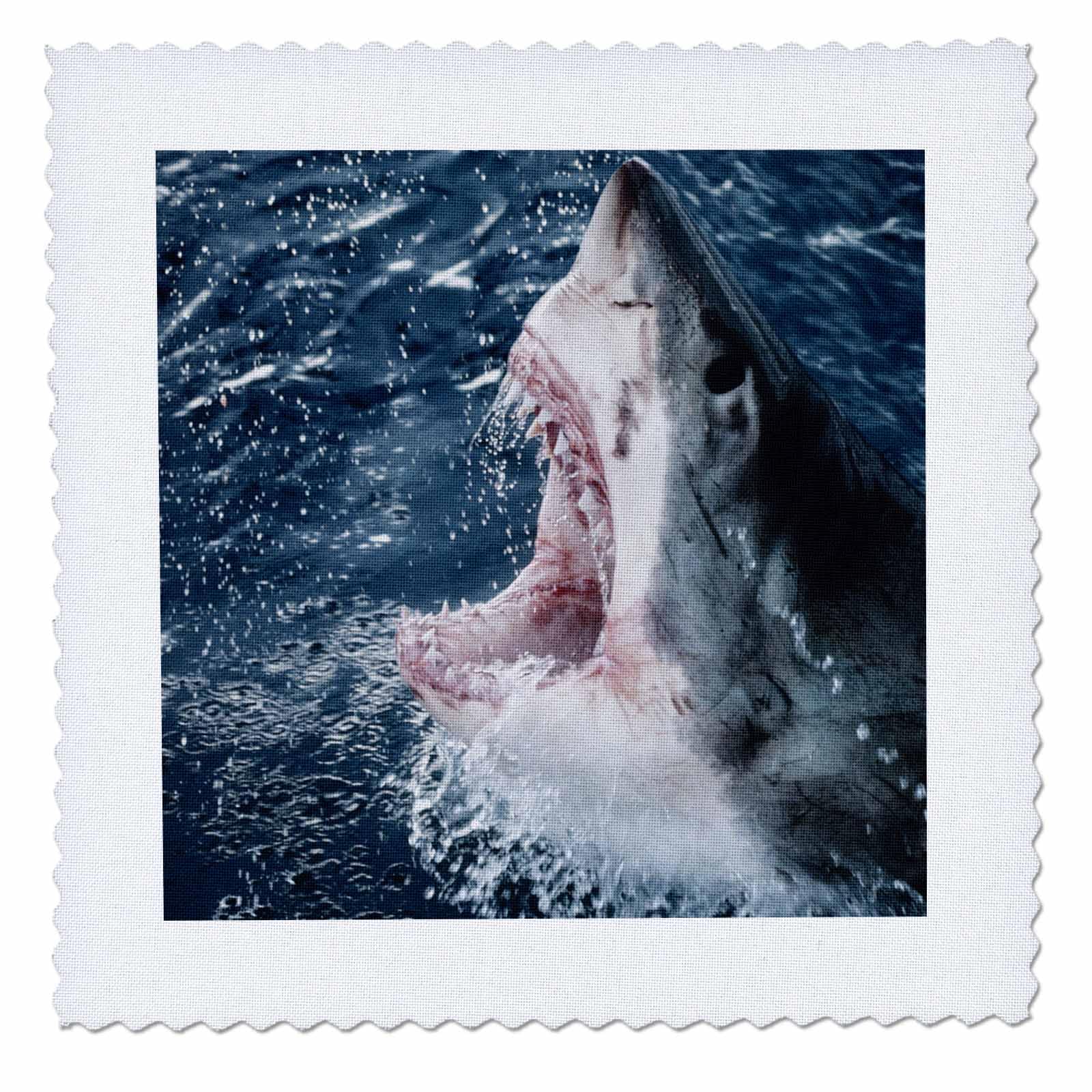3dRose Head of White Shark Quilt Square, 10 x 10
