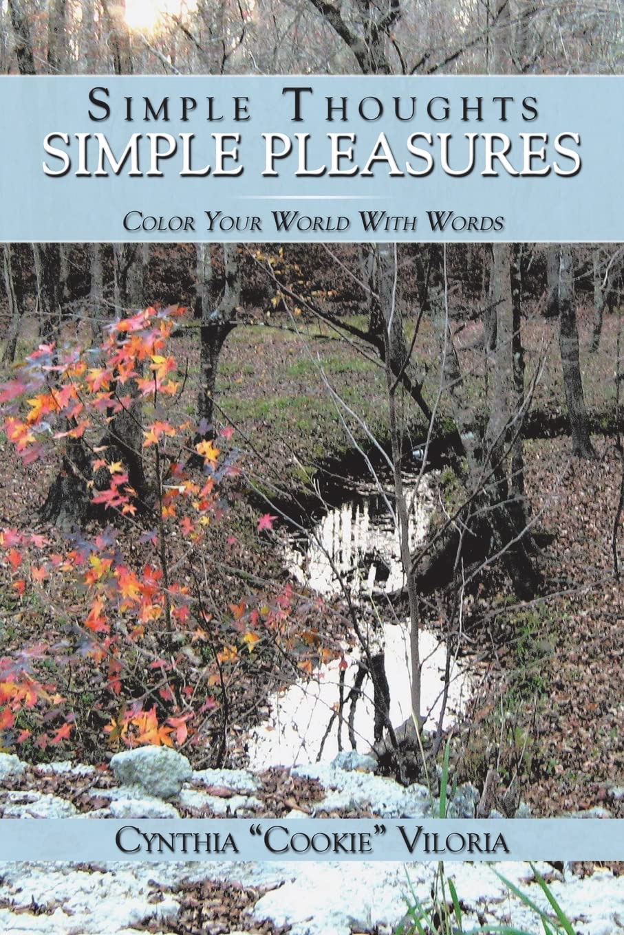 Simple Thoughts - Simple Pleasures: Color Your World With Words