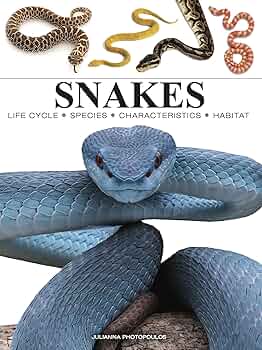 Snakes (Mini Encyclopedias): Photopoulos, Julianna