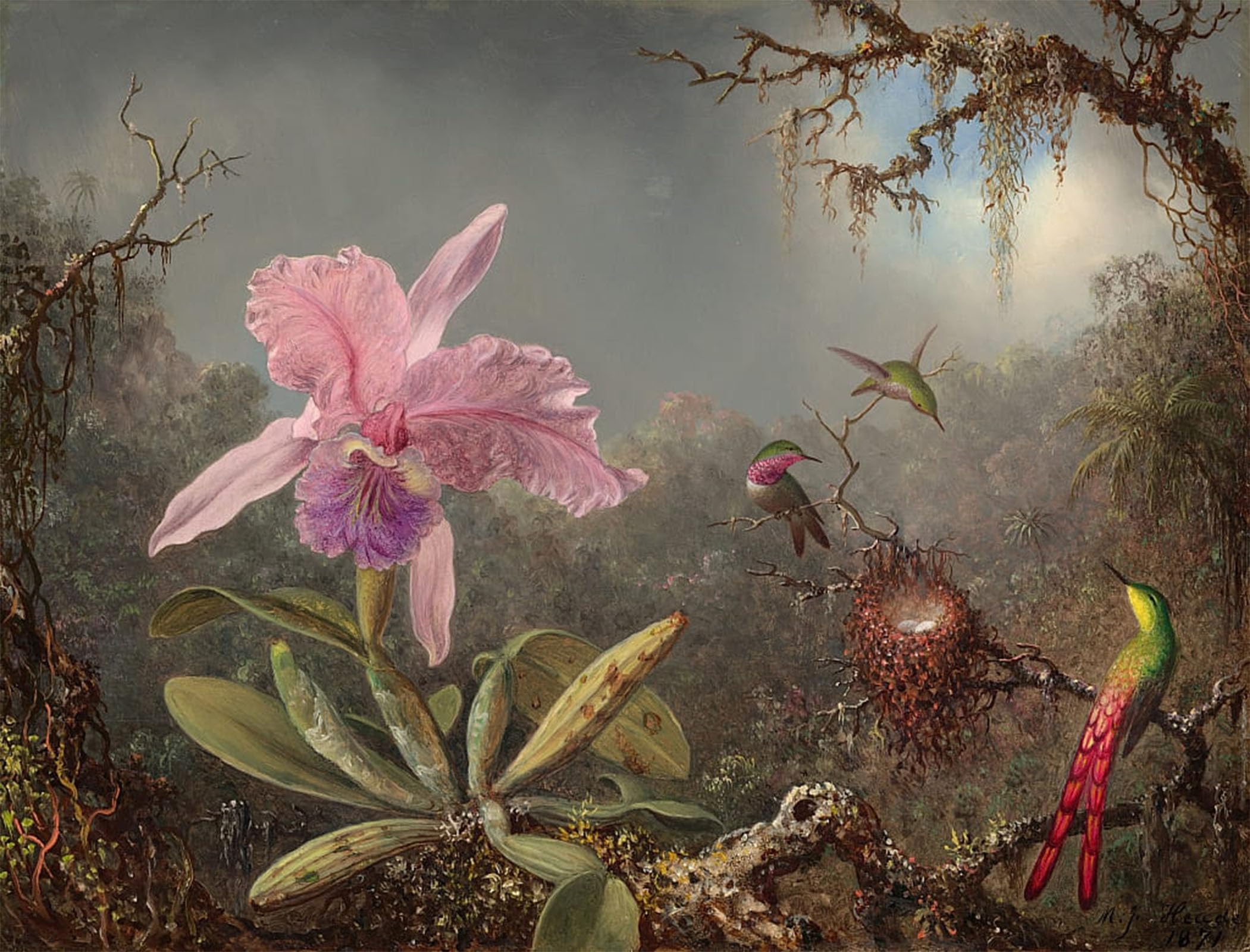 Peinture Décorative Orchidée Cattleya impression premium sur toile d'art - 5