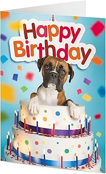 dog birthday cake amazon